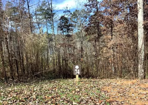 lot74 Hope Ct, Ellijay, GA 30540