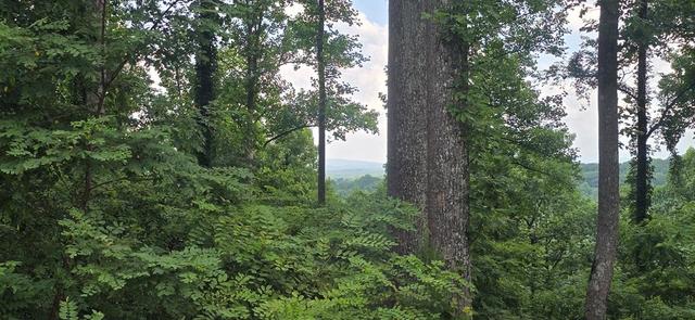 001 Winding Rdg, Blairsville, GA 30512