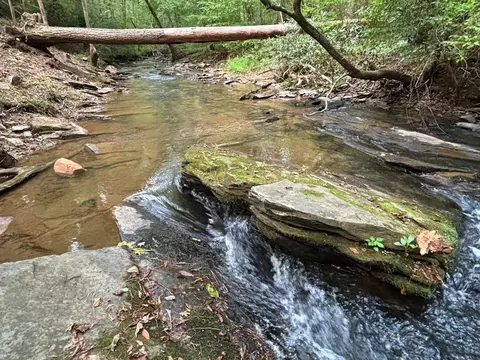 396 Mt Springer Rd, Ellijay, GA 30540