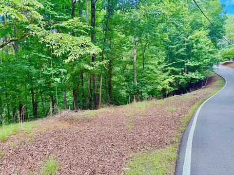2246 Palisade Dr, Ellijay, GA 30540