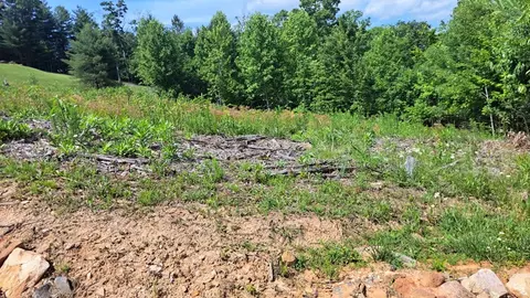 31 Acres Upper Bear Paw Rd, Murphy, NC 28906 photo 12