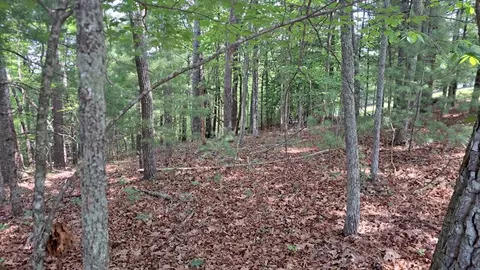31 Acres Upper Bear Paw Rd, Murphy, NC 28906 photo 10