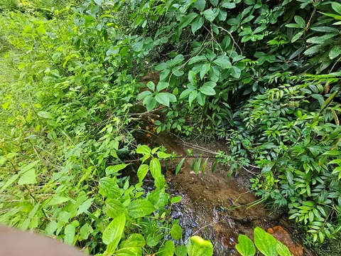 31 Acres Upper Bear Paw Rd, Murphy, NC 28906 photo 3