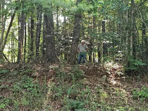 31 Acres Upper Bear Paw Rd, Murphy, NC 28906 photo 16