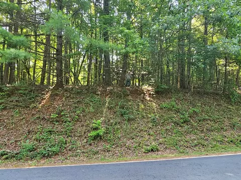 31 Acres Upper Bear Paw Rd, Murphy, NC 28906 photo 17
