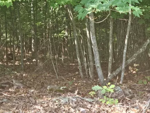 31 Acres Upper Bear Paw Rd, Murphy, NC 28906 photo 21