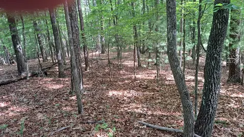 31 Acres Upper Bear Paw Rd, Murphy, NC 28906 photo 15