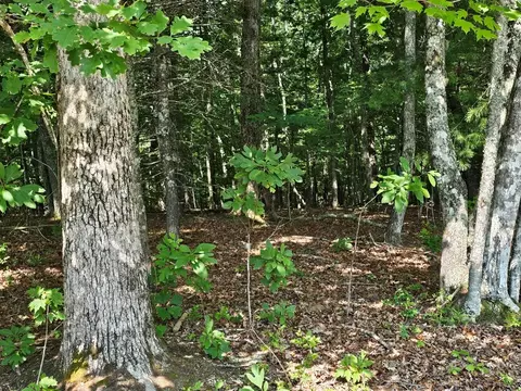 31 Acres Upper Bear Paw Rd, Murphy, NC 28906 photo 22
