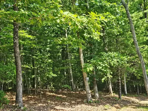 31 Acres Upper Bear Paw Rd, Murphy, NC 28906 photo 23