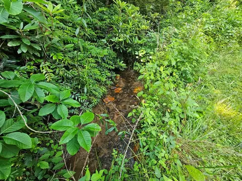 31 Acres Upper Bear Paw Rd, Murphy, NC 28906 photo 2