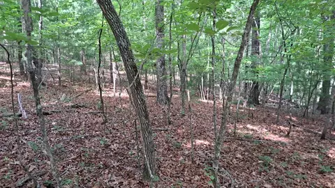 31 Acres Upper Bear Paw Rd, Murphy, NC 28906 photo 13