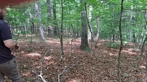 31 Acres Upper Bear Paw Rd, Murphy, NC 28906 photo 14