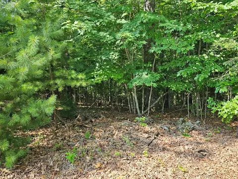 31 Acres Upper Bear Paw Rd, Murphy, NC 28906 photo 20