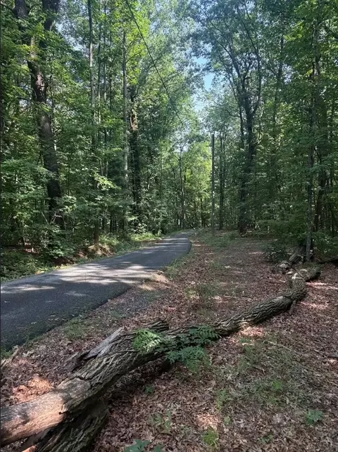 00 Burnt Mtn, Jasper, GA 30143 photo 5