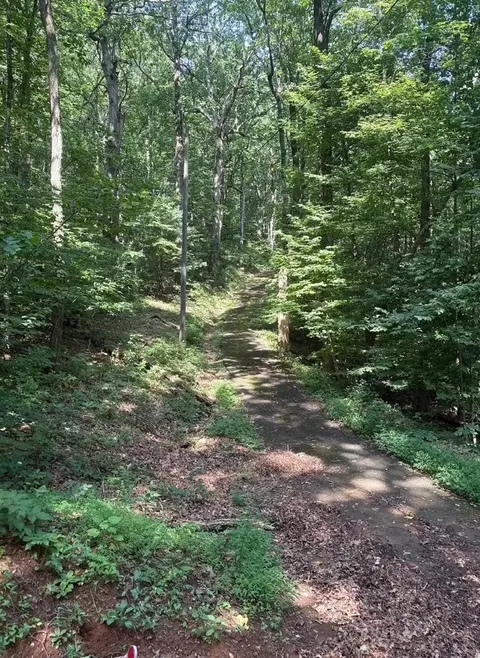 00 Burnt Mtn, Jasper, GA 30143 photo 4