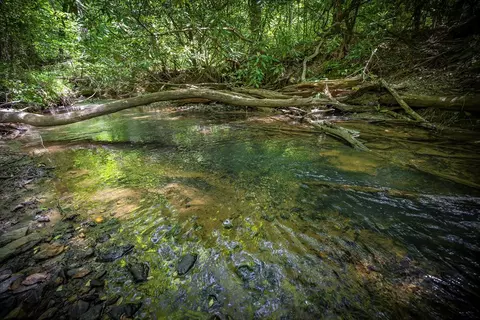 lot1 1a Jonica Gap Rd, Mineral Bluff, GA 30559