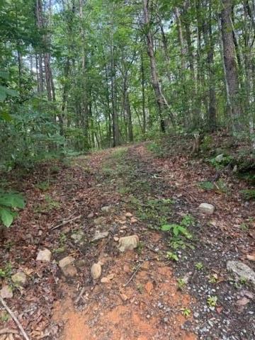 10 96 Ac Paramount Trl, Ellijay, GA 30536