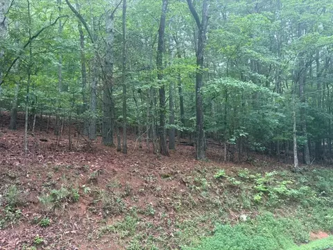 99 Nelson Cir, Blairsville, GA 30512