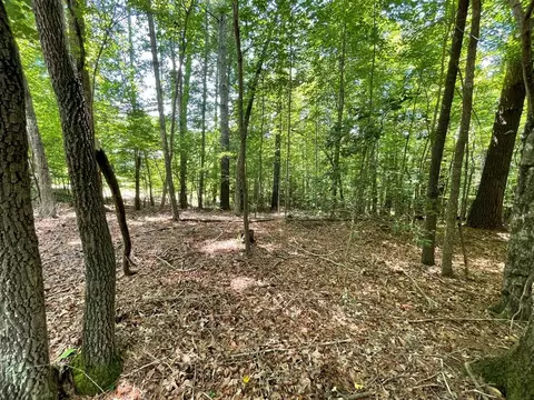 lot15 Summit Way, Blairsville, GA 30512