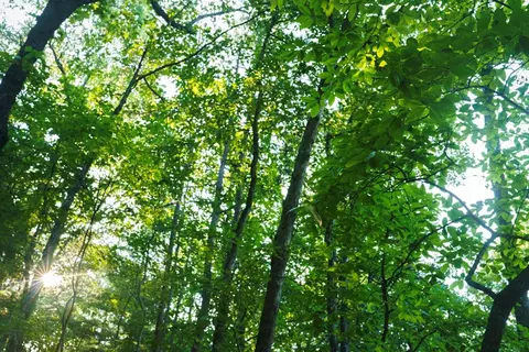 0 Gloryland Way, Murphy, NC 28906 photo 27