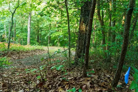 0 Gloryland Way, Murphy, NC 28906 photo 23