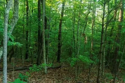 0 Gloryland Way, Murphy, NC 28906 photo 14
