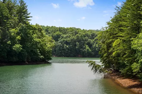 355 Old Camp Loop, Morganton, GA 30560 photo 85