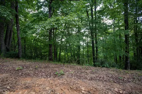 0 Bluff Rd, Marble, NC 28905 photo 17
