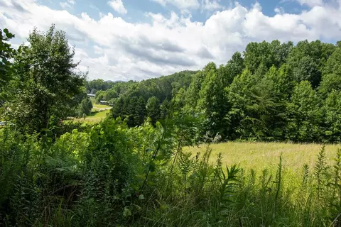 0 Bluff Rd, Marble, NC 28905 photo 13