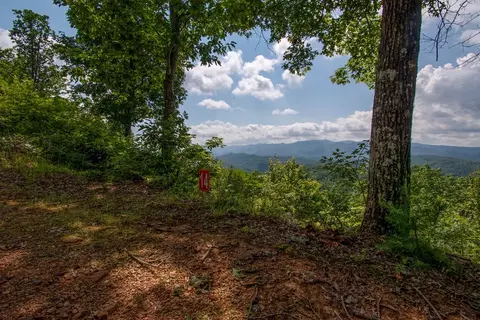 0 Bluff Rd, Marble, NC 28905 photo 3