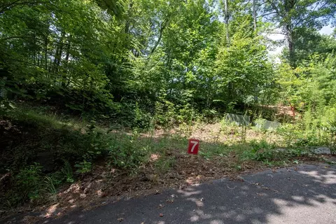 0 Bluff Rd, Marble, NC 28905 photo 28