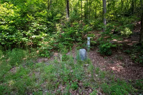 0 Bluff Rd, Marble, NC 28905 photo 6