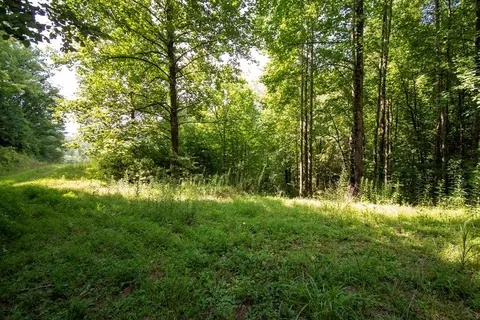0 Bluff Rd, Marble, NC 28905 photo 8