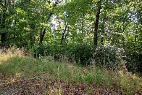 0 Bluff Rd, Marble, NC 28905 photo 19