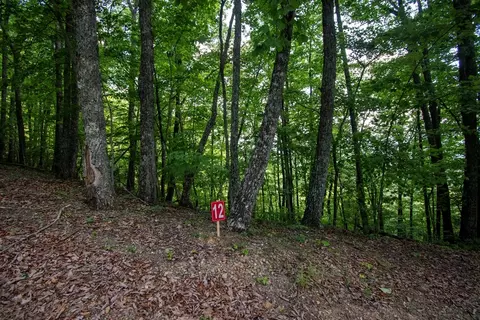 0 Bluff Rd, Marble, NC 28905 photo 14