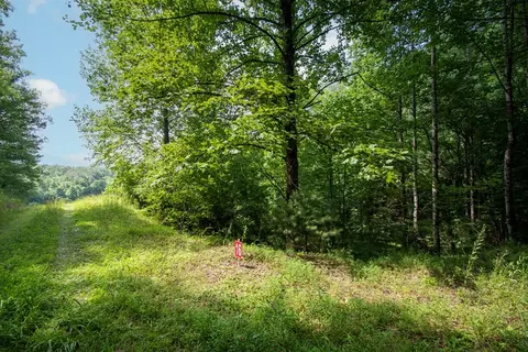 0 Bluff Rd, Marble, NC 28905 photo 4