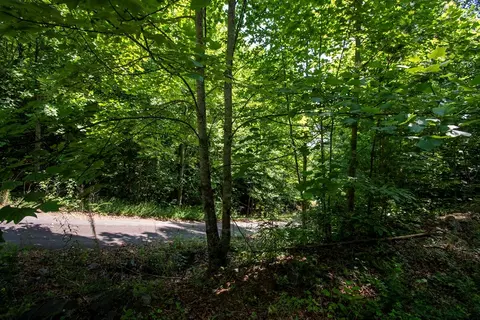 0 Bluff Rd, Marble, NC 28905 photo 27