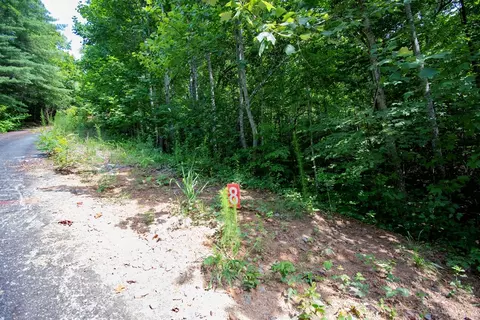 0 Bluff Rd, Marble, NC 28905 photo 23