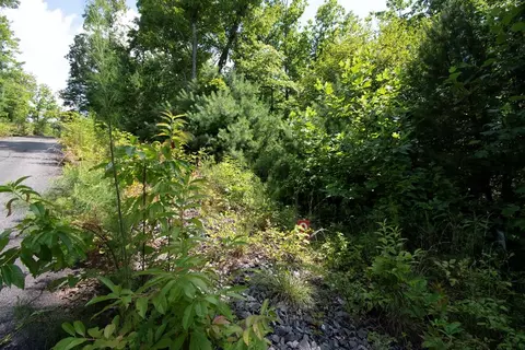 0 Bluff Rd, Marble, NC 28905 photo 24