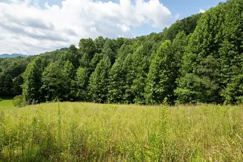 0 Bluff Rd, Marble, NC 28905 photo 9