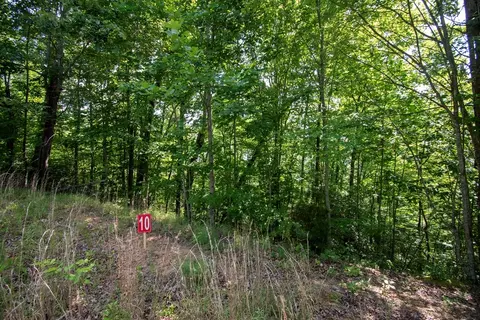 0 Bluff Rd, Marble, NC 28905 photo 20