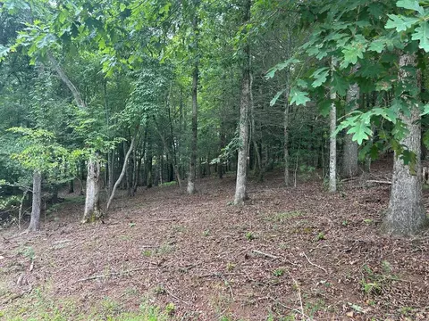 14 Fiddlers Cove, Blairsville, GA 30512