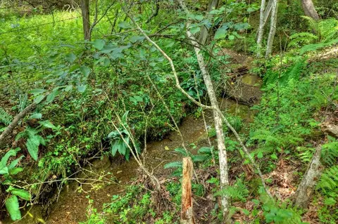 00 Scots Glen Rd, Mineral Bluff, GA 30559