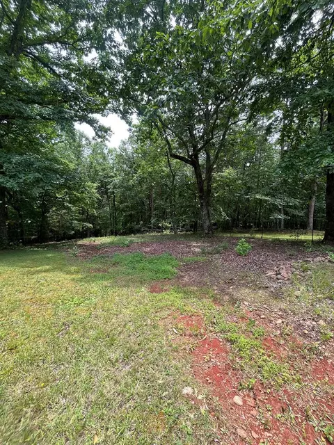 0 Whitestone Dr, Cleveland, GA 30528