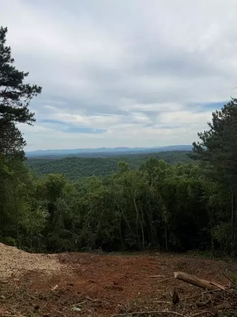 0 Lookout Dr, Blue Ridge, GA 30015