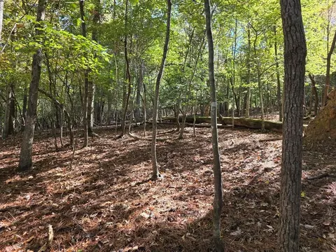 lot Apt 385 Zenith Trl, Ellijay, GA 30540