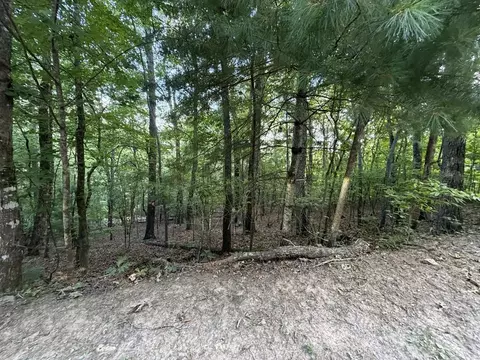 lot46 Fox Run Dr, Blue Ridge, GA 30513