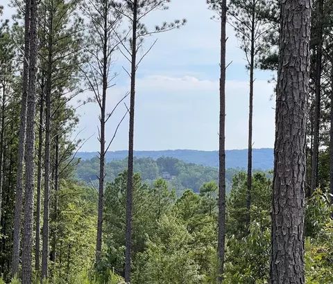 lot103 Blalock Mountain Rd, Ellijay, GA 30540