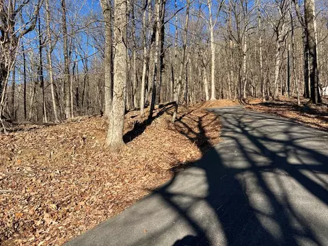 0 Sassafras Ct, Jasper, GA 30143 photo 5