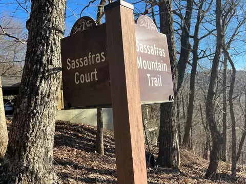 0 Sassafras Ct, Jasper, GA 30143 photo 8